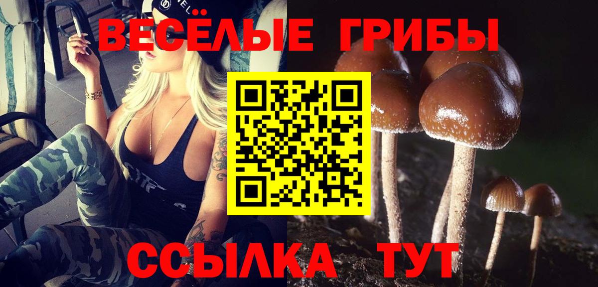 Галлюциногенные грибы Magic Shrooms Заринск