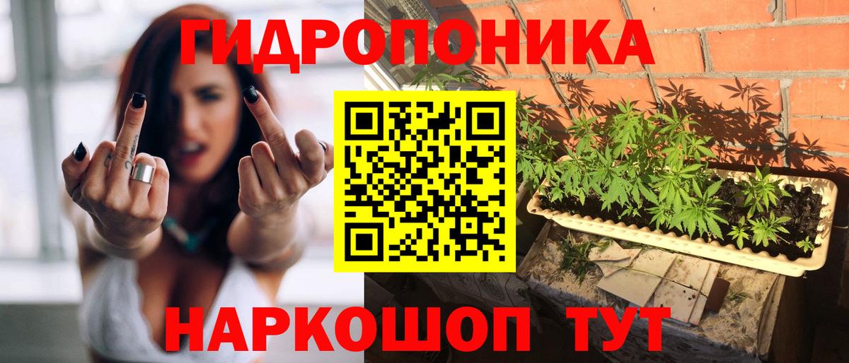 Заринск  Конопля конопля  Бошки марихуана SATIVA & INDICA  Бошки марихуана план  Вход с VPN 